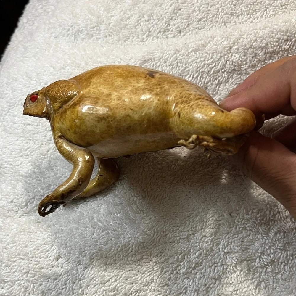 Realistic Brown Toad Ornament for Reptile Enclosures